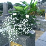 飯塚の墓地から福岡へ。お墓のお引越し【遺骨の改葬】