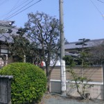 福岡市東区の寺院墓地にて現地確認を行いました。