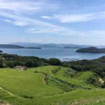 長崎県松浦市鷹島にやってきました