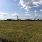 佐賀県神埼郡の地域墓地にやってきました